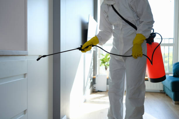 Best Attic Mold Remediation in Walnut Creek, NC